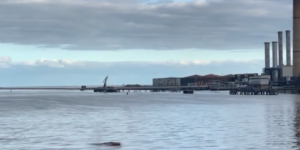 Whale Spotted In Dublin Port I...