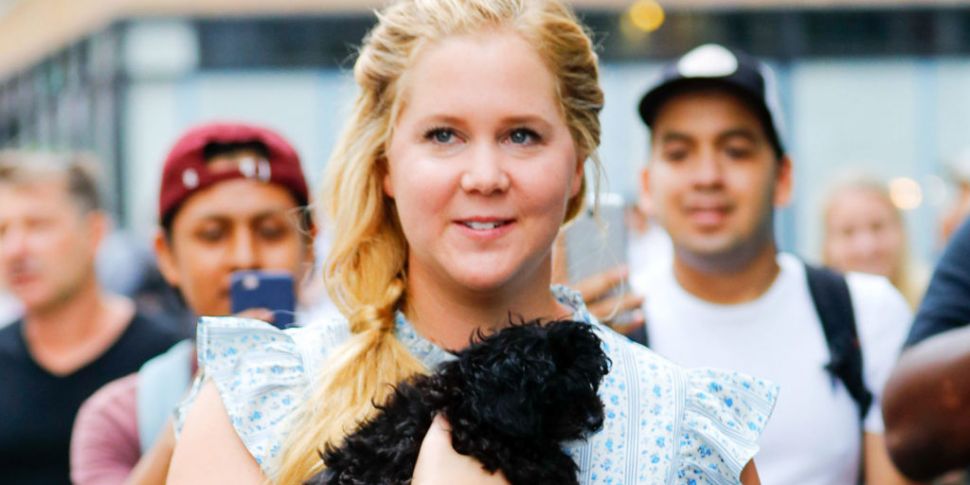 Amy Schumer Changes Her Son's...
