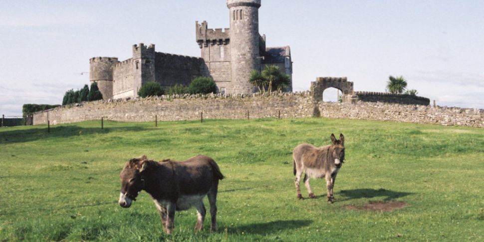 Gardaí Rescue Donkey Following...