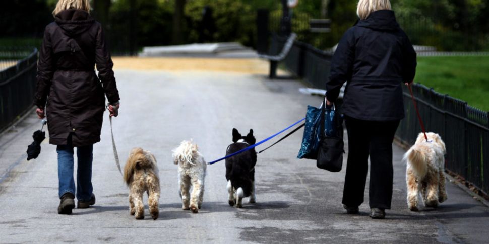 One Dog Poo Fine Issued In Dub...