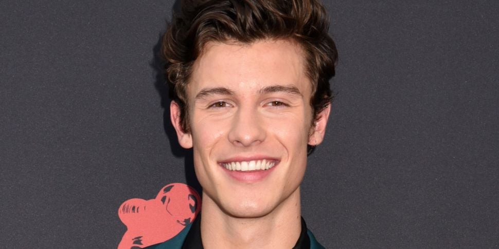 Shawn Mendes Reveals New Duet...