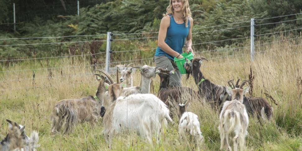 25 Firefighting Goats Move Int...