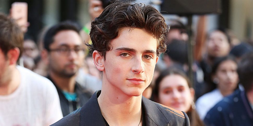Our First Look At Timothée Cha...