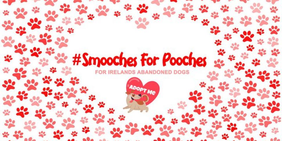 Give Smooches for Pooches and...