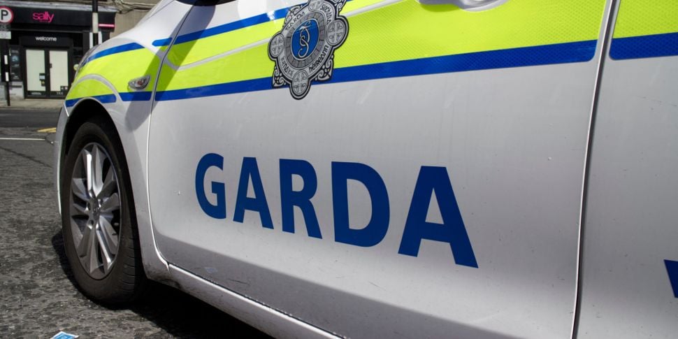 Gardaí Renew Appeal Over Crash...