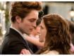 A 'Twilight' Animated Series I...