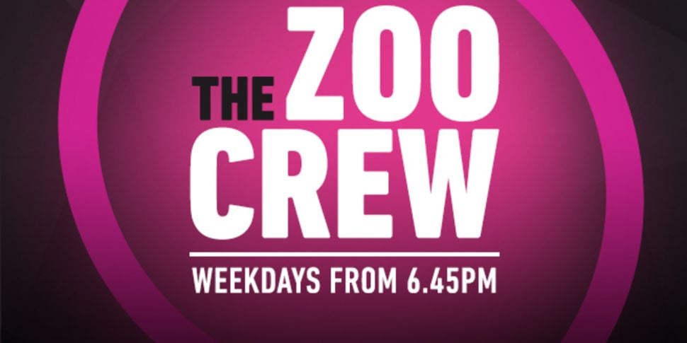 The Zoo Crew Budget Special