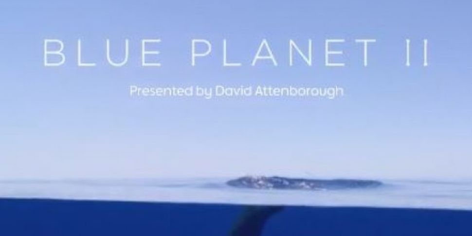 Huge News For Blue Planet Fans...