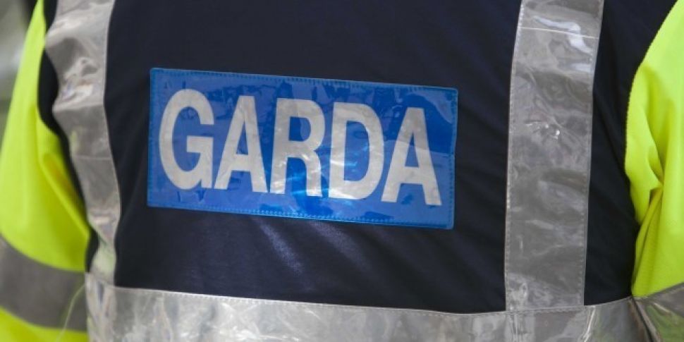 Gardaí­ Seek Help To Find Teen...