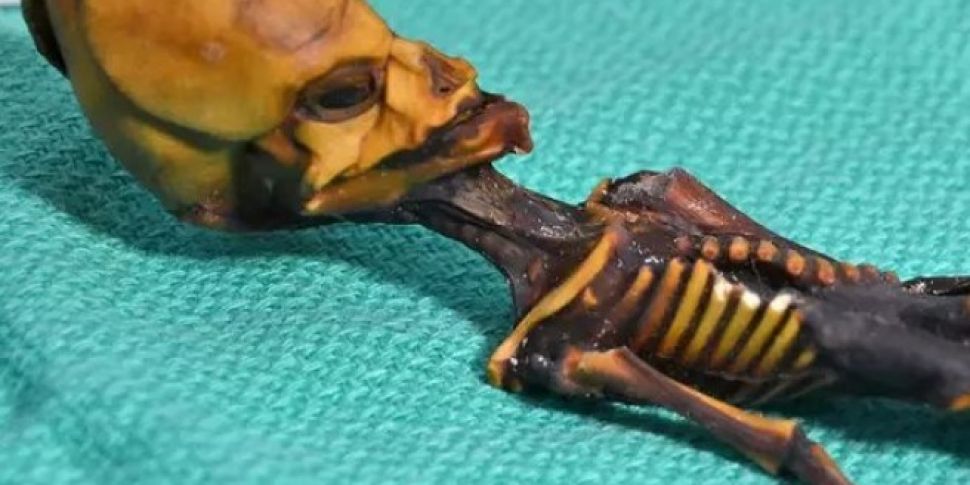 The Alien Mummy Found In The A...