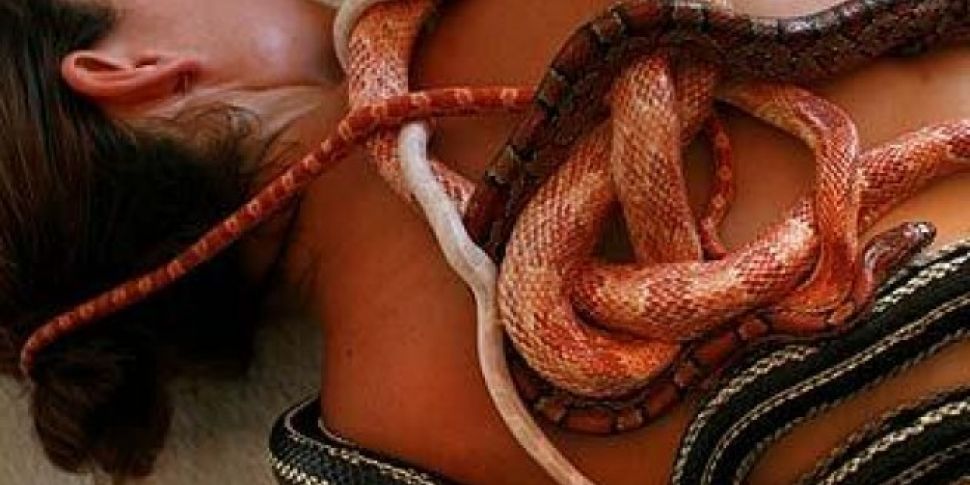 Snake Massage Anyone?