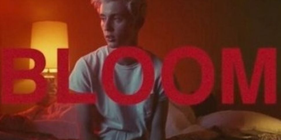 Troye Sivan Shares His New Sin...