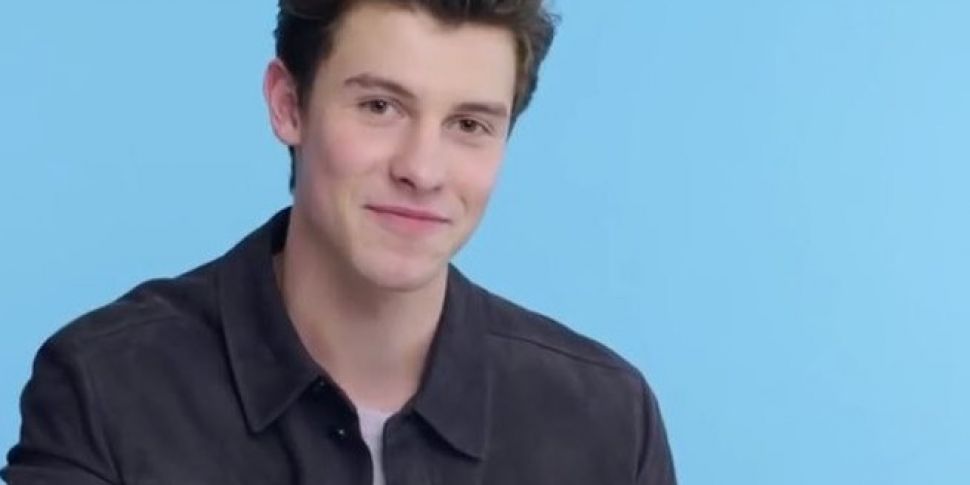 Shawn Mendes' Reactions to...