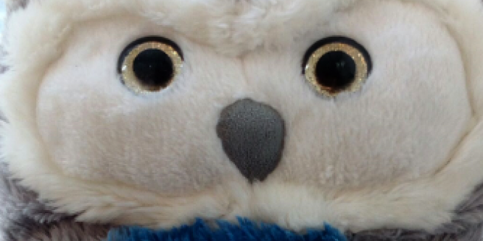 Toy Owl Left Behind At Crumlin...