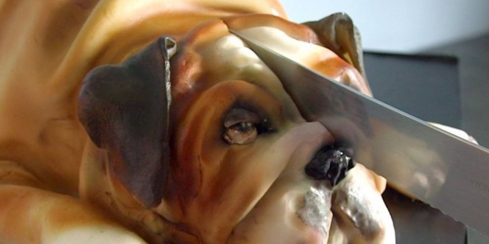 These Hyper-Realistic Animal C...