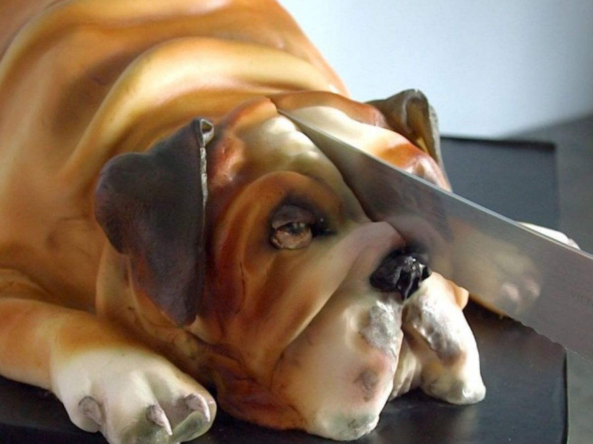 These Hyper-Realistic Animal Cakes Are Dividing The Internet | SPINSouthWest