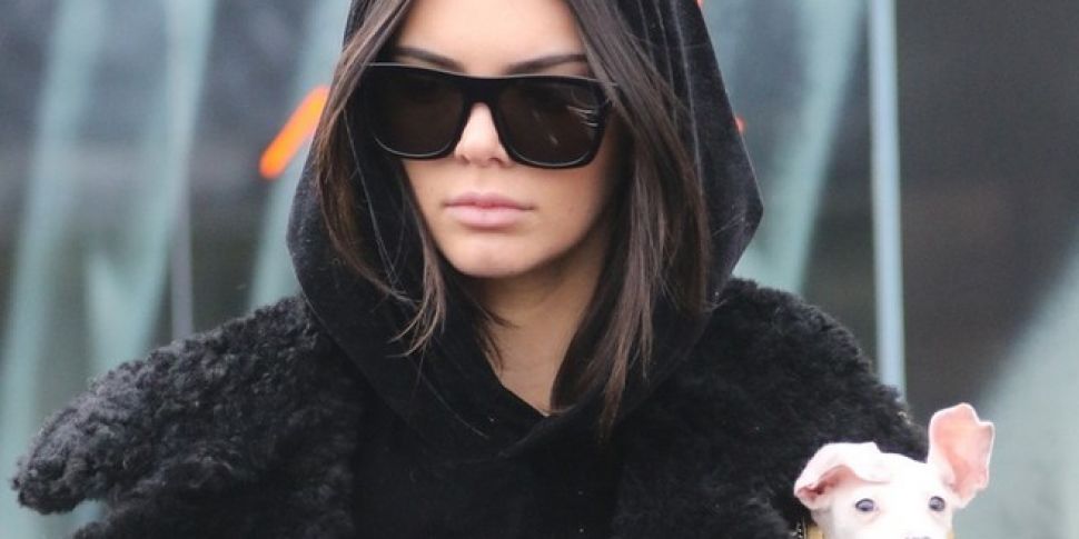 Kendall Debuts Her New Pooch
