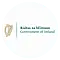 Government Of Ireland 