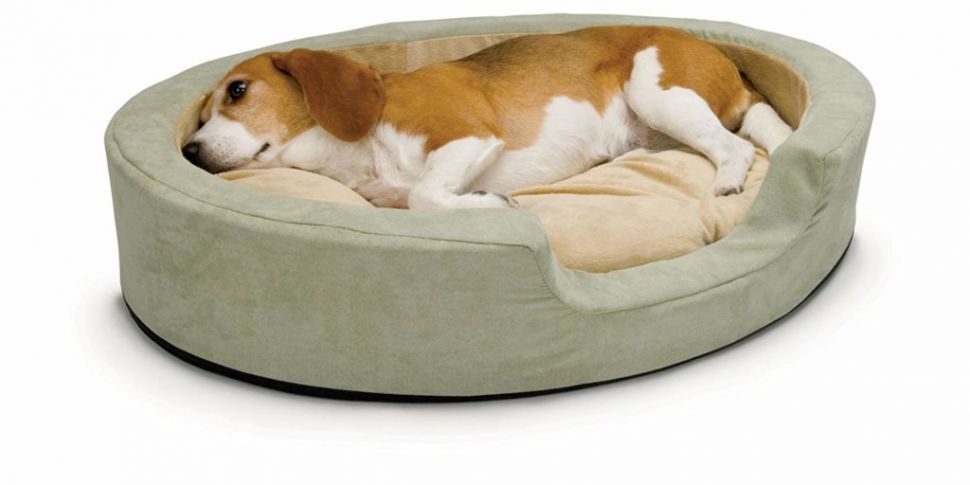 Heated Dog Beds Are Now A Thin...
