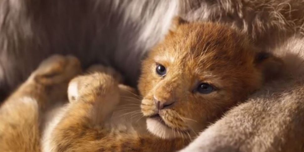 Lion King Trailer Becomes The...
