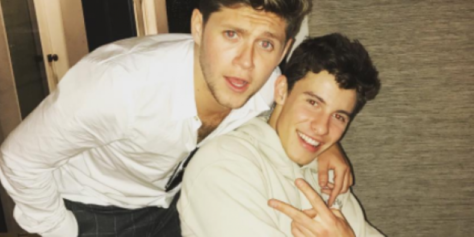 Niall Horan & Shawn Mendes Pro...