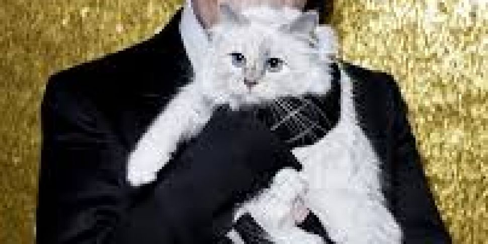 Karl Lagerfeld's Cat Set To To...