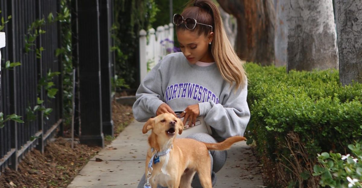 Ariana Grande To Jet Back Home Due To Increased 'Scrutiny