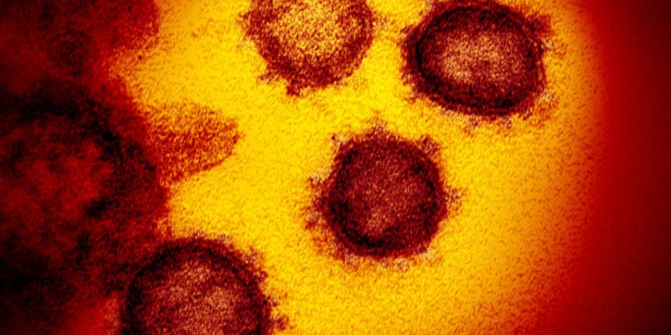 Seven New Cases Of Coronavirus...