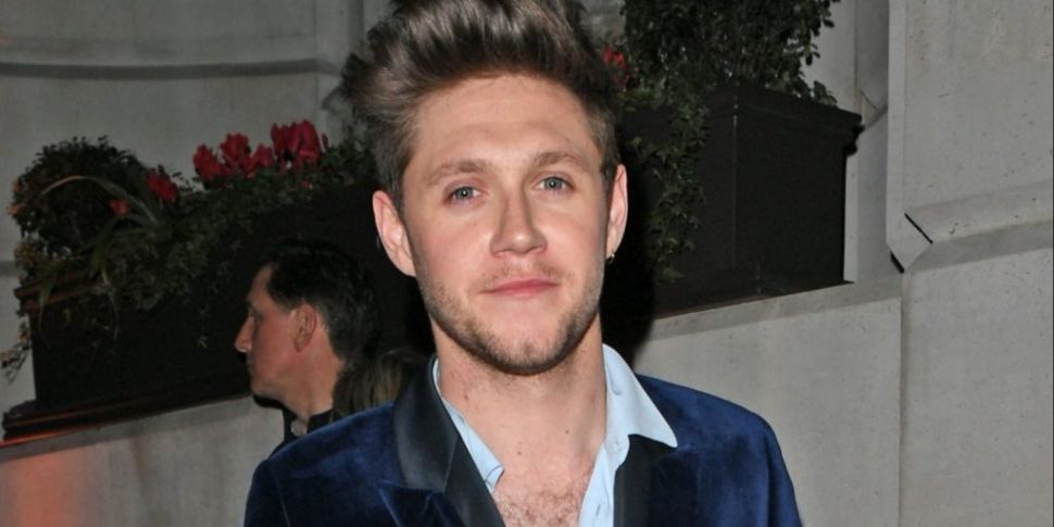 Niall Horan Admits He Doesn't...