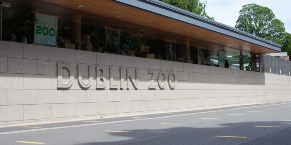 Dublin Zoo Is Re-Opening On Tu...