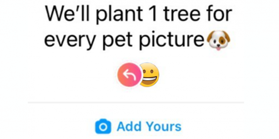 Plant A Tree For A Pet Photo I...