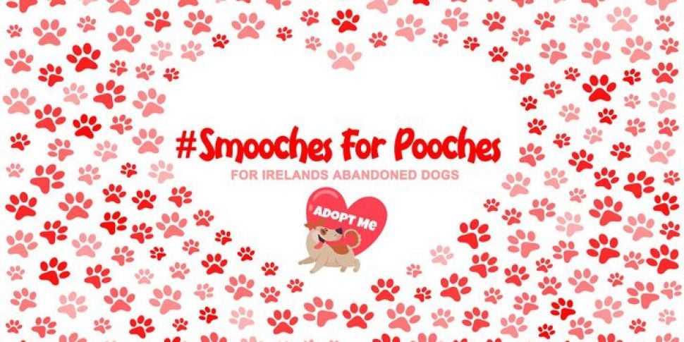 Give Smooches for Pooches and...