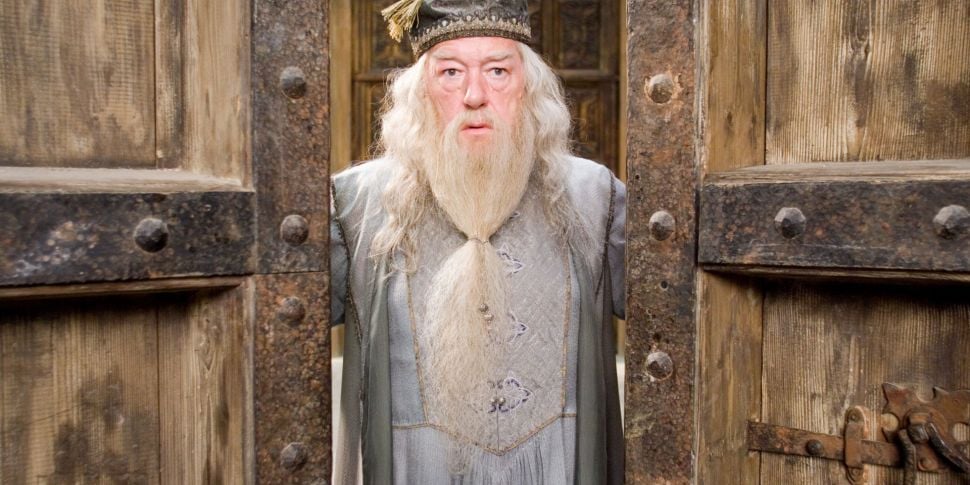 Dumbledore Actor Michael Gambo...