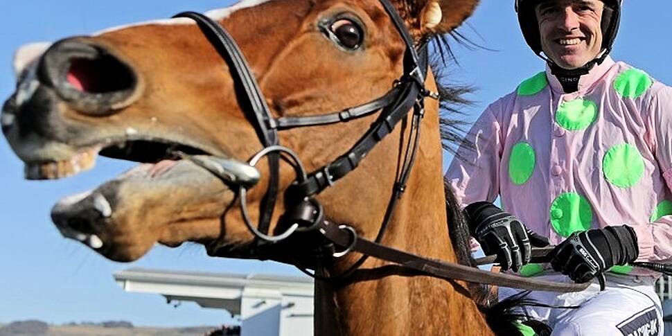 Cheltenham Tips Tuesday