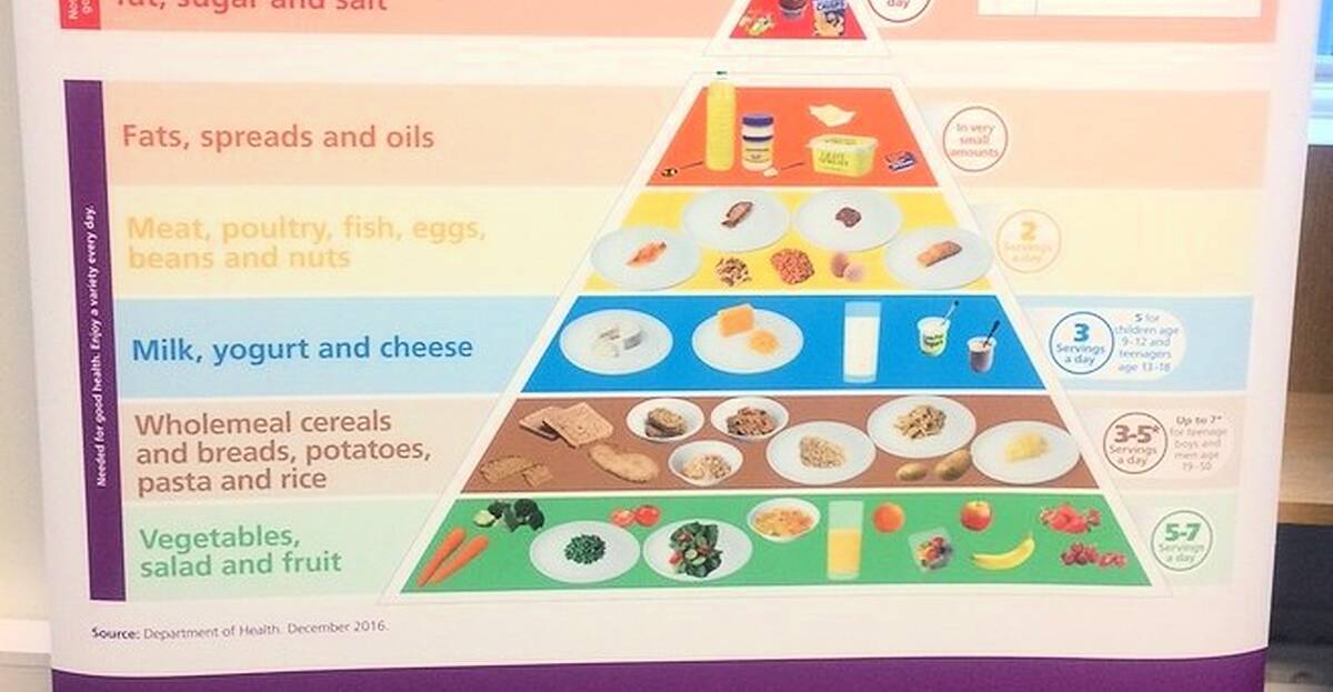 Food Pyramid Revamped; Fruit&veg Boosted