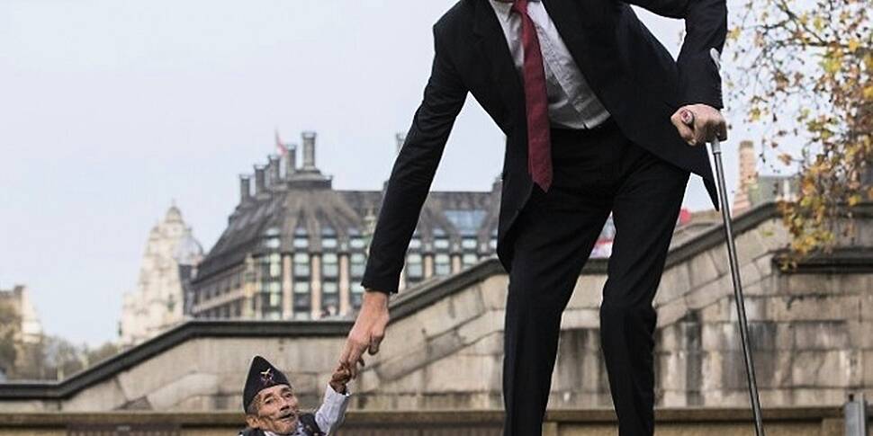 You'll Be taller If You