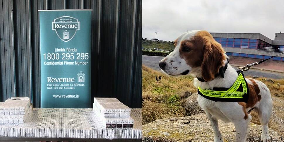 Detector Dog Sniffs Out 27,000...