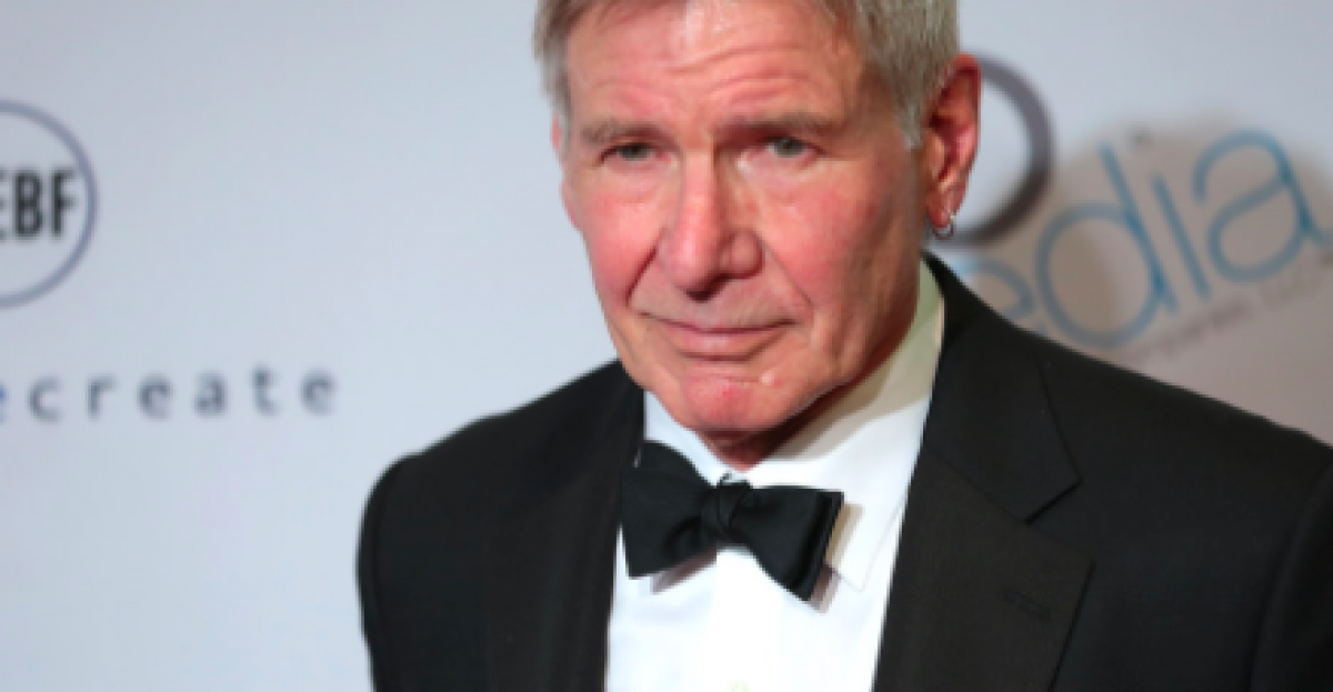 Harrison Ford In Hot Water Over His Flying Skills