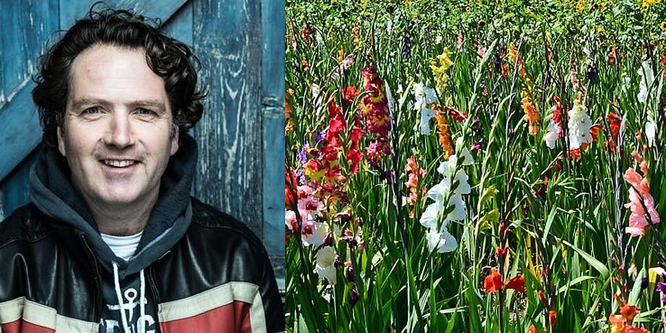 Revealed: Diarmuid Gavin's Lea...