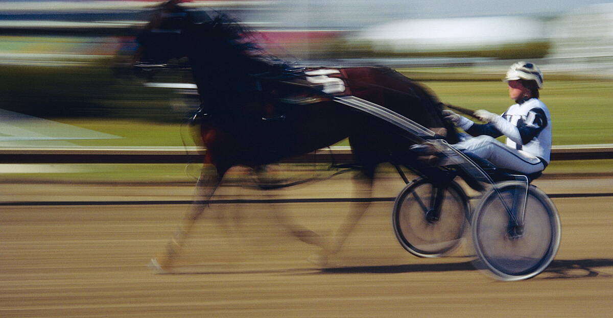 Silky Racer Sulky Racing Rules To Be Brought Before The Dáil