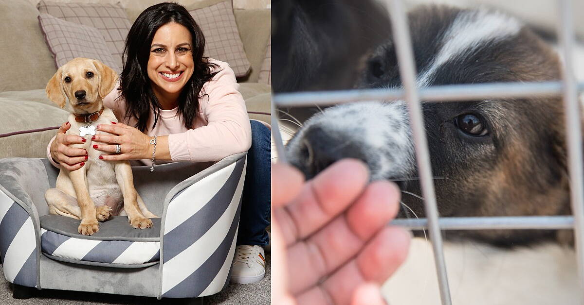 Lucy Kennedy Shares Her Experience Of Adopting Rescue Dog - Vimarsana News