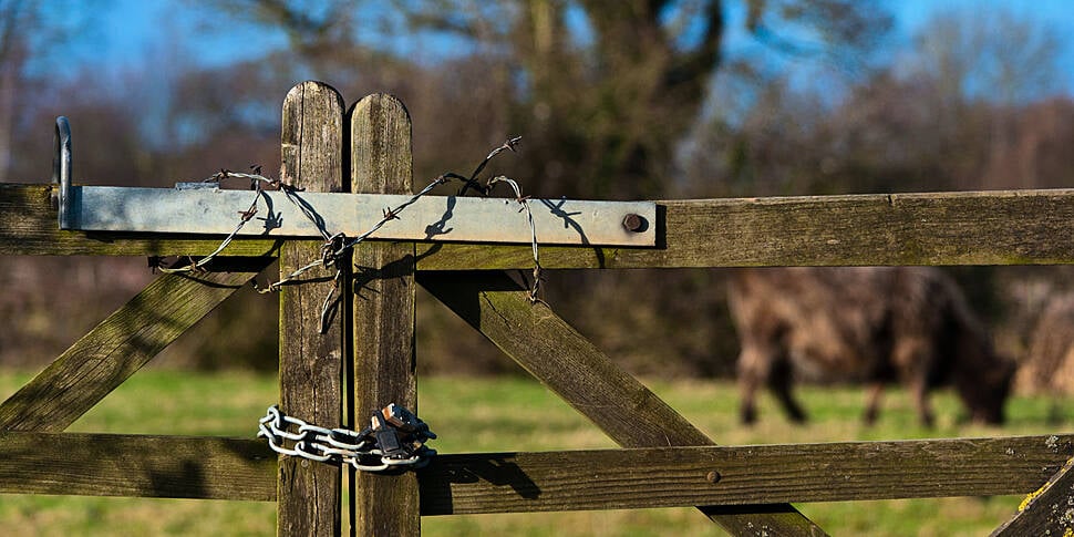 55% Of Farmers Have Been Victi...