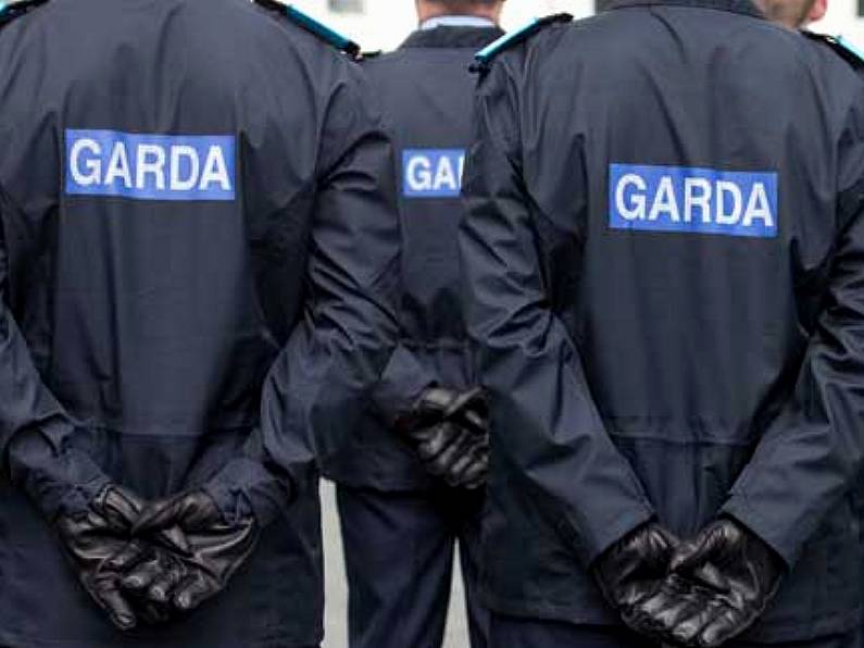 Gardaí upgrade 25-year-old missing person case to murder investigation