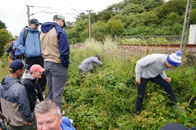 Spectators search for Rory McIlroy's ball