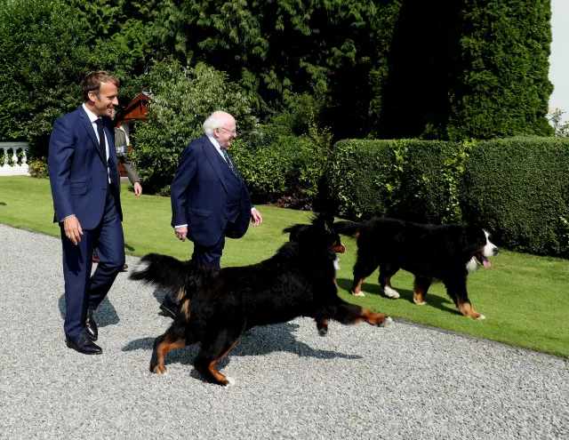 Emmanuel Macron and Michael D Higgins