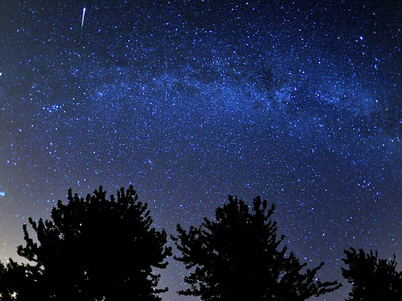 Final meteor shower of 2020 set to delight skygazers