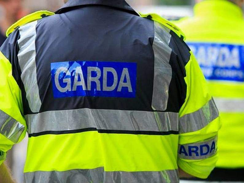 Gardaí issue 10 Covid fines to group who gathered for 'egg throwing' in Wexford