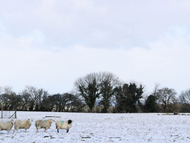 Wintry showers in store during ‘unseasonably cold’ weekend - Met Éireann