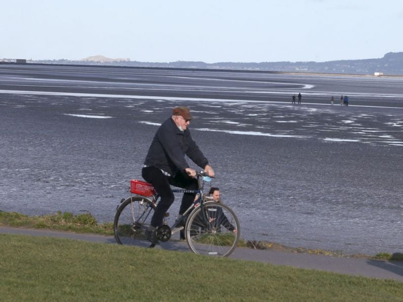 Sandymount cycleway plan excluded residents, High Court told