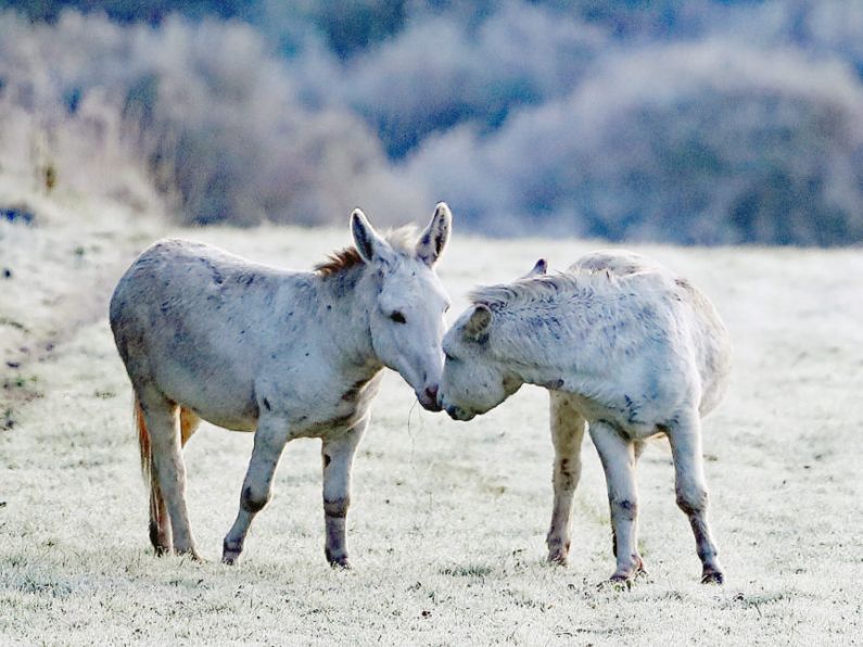 Bank holiday sees return of ‘wintry’ weather conditions